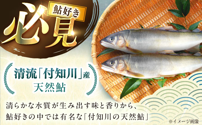 天然あゆの一夜干し 特大 3匹セット / あゆ 天然 鮎 / 恵那市 / 恵那物産館 [AUFS003]