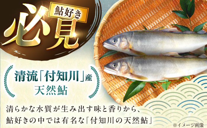 ＜冷凍＞天然あゆ 19～22cm 10匹入り / あゆ 天然 鮎 冷凍 / 恵那市 / 恵那物産館 [AUFS008]