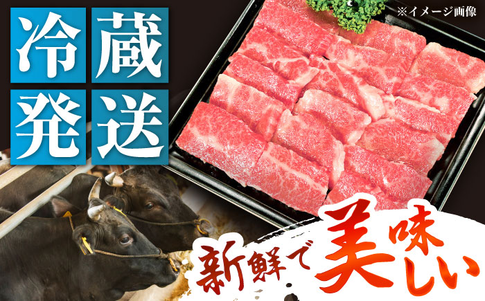 【チルド（冷蔵）発送！】 「飛騨牛」 A5等級 バラ 500g / 牛肉 焼肉 鉄板焼き 網焼き BBQ / 恵那市 / 東美濃農業協同組合 [AUFX002] 500g