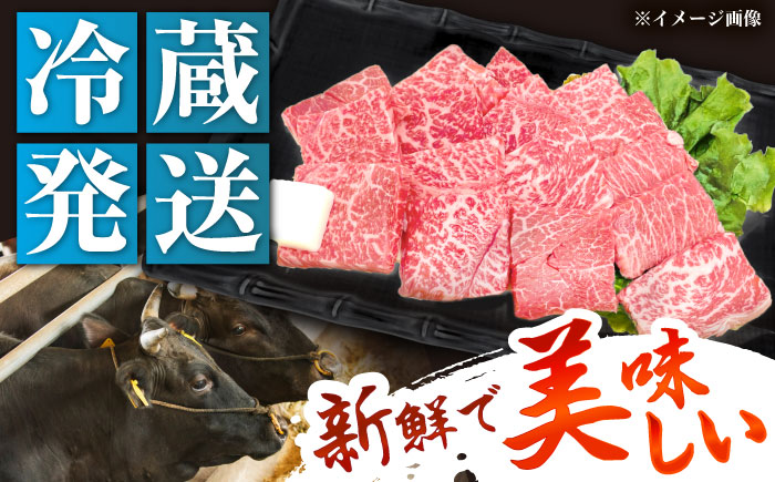 【チルド（冷蔵）発送！】 「飛騨牛」 A5等級 もも 1kg / 牛肉 焼肉 鉄板焼き 網焼き BBQ / 恵那市 / 東美濃農業協同組合 [AUFX006] 1kg