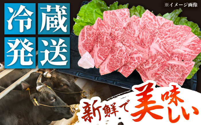 【チルド（冷蔵）発送！】 「飛騨牛」 A5等級 ロース 500g / 牛肉 焼肉 鉄板焼き 網焼き BBQ / 恵那市 / 東美濃農業協同組合 [AUFX008] 500g