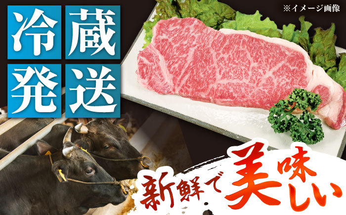 【チルド（冷蔵）発送！】 「飛騨牛」 A5等級 サーロインステーキ 200g×2枚 / 牛肉 焼肉 鉄板焼き 網焼き BBQ / 恵那市 / 東美濃農業協同組合 [AUFX011] 2枚