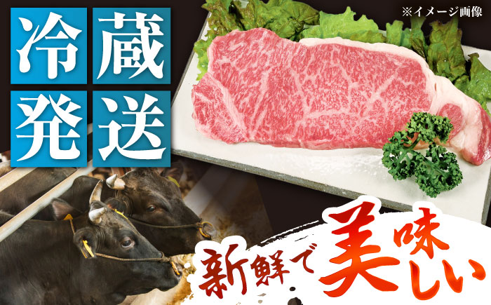 【チルド（冷蔵）発送！】 「飛騨牛」 A5等級 サーロインステーキ 200g×3枚 / 牛肉 焼肉 鉄板焼き 網焼き BBQ / 恵那市 / 東美濃農業協同組合 [AUFX012] 3枚
