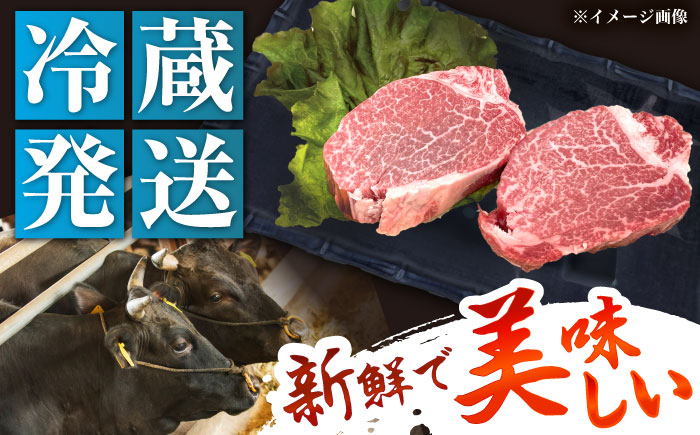 【チルド（冷蔵）発送！】 「飛騨牛」 A5等級 ヒレステーキ 150g×5枚 / 牛肉 焼肉 鉄板焼き 網焼き BBQ/ 恵那市 / 東美濃農業協同組合 [AUFX019] 5枚