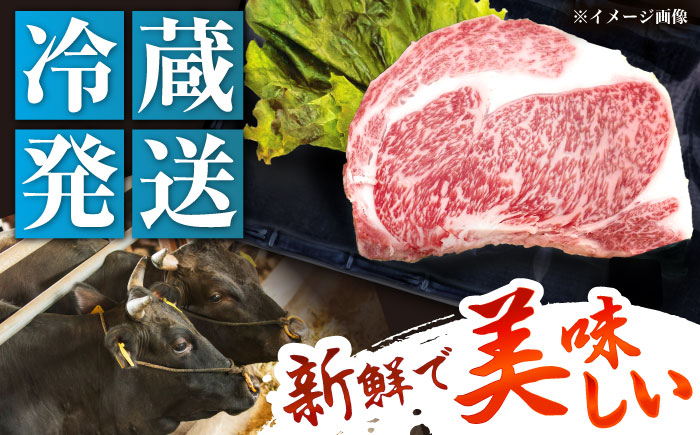 【チルド（冷蔵）発送！】 「飛騨牛」 A5等級 リブロース ステーキ用 300g×2枚 / 牛肉 焼肉 鉄板焼き 網焼き BBQ/ 恵那市 / 東美濃農業協同組合 [AUFX021] 2枚