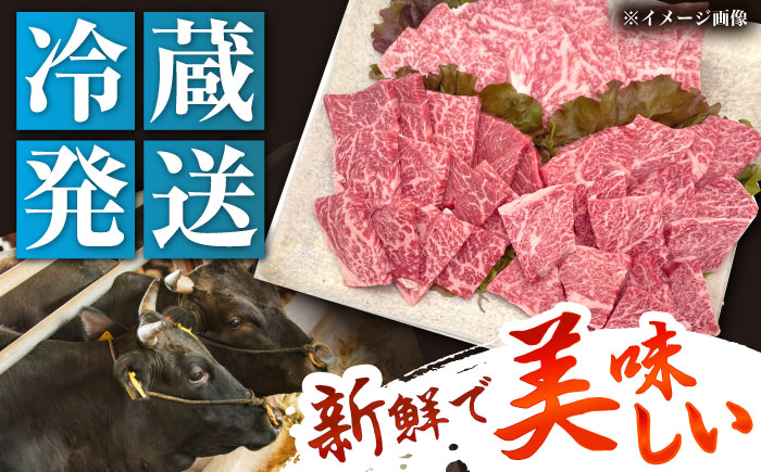 【チルド（冷蔵）発送！】 「飛騨牛」 A5等級 焼肉用3種盛り！ ロース・もも・バラ 各300g / 牛肉 焼肉 鉄板焼き 網焼き BBQ/ 恵那市 / 東美濃農業協同組合 [AUFX023]