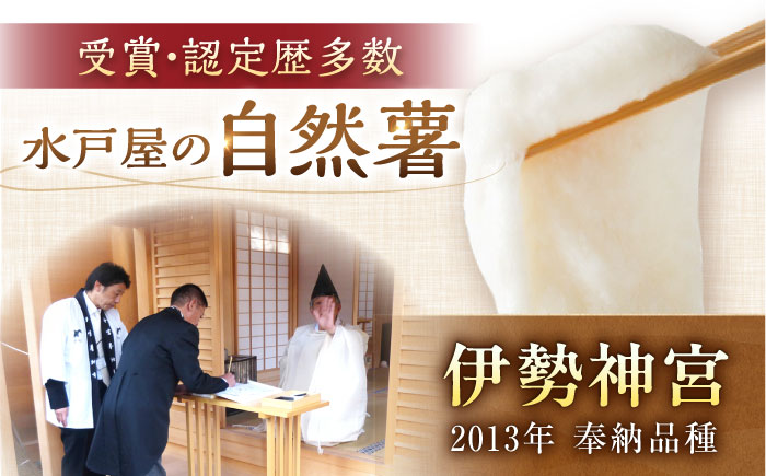 【年内配送】【定番人気】自然薯 中（800g）/ 自然薯 じねんじょ 贈答 / 恵那市 / 水戸屋 [AUFZ009]