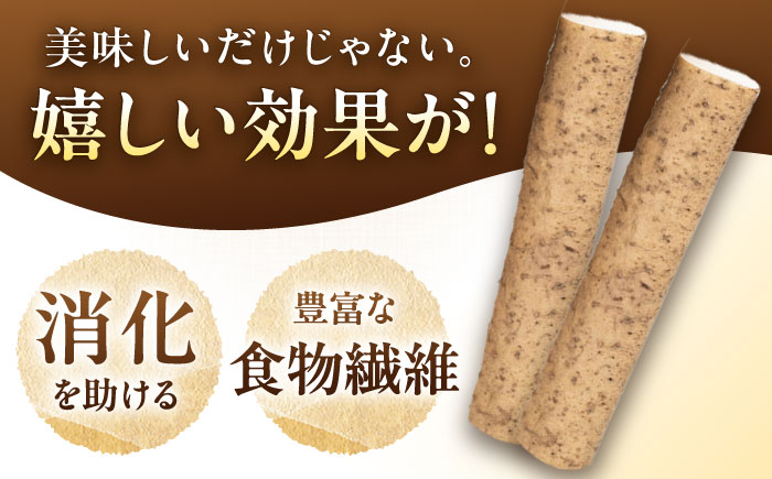 【年内配送】自然薯の味噌漬け・しょう油漬けセット 160g　（80g×2）/ 自然薯 漬けもの 味噌漬け 醤油漬け / 恵那市 / 水戸屋 [AUFZ013]