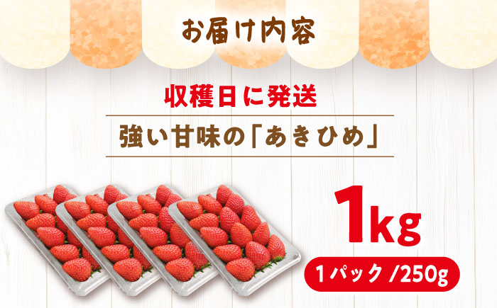 【先行予約】【2026年1月上旬から3月下旬に順次発送】あきひめ 250g×4パック / いちご 苺 イチゴ あきひめ 国産 / 恵那市 / 阿部農園 [AUGA003]