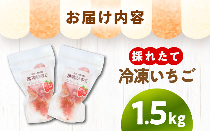 冷凍いちご1.5キロ / 苺 いちご 冷凍 冷凍いちご / 恵那市 / 阿部農園 [AUGA012]