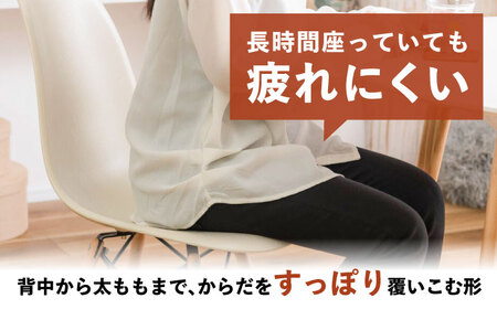 【選べるカラー】デザインチェア アイボリー 1脚 / 椅子 チェア インテリア 家具 / 恵那市 / 東谷株式会社 明智流通センター [AUAD049] アイボリー