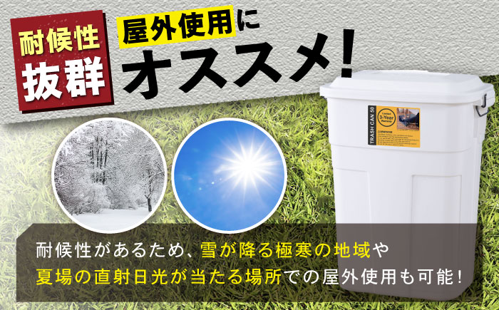 【選べるカラー】トラッシュカン ゴミ箱 ふた付き 30リットル ブラウン 2個組 / ダストボックス ゴミ箱 ごみ箱 / 恵那市 / 東谷株式会社 明智流通センター [AUAD068] ブラウン