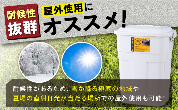 【選べるカラー】トラッシュカン ゴミ箱 ふた付き 50L グリーン 1個 / ダストボックス ゴミ箱 ごみ箱 / 恵那市 / 東谷株式会社 明智流通センター [AUAD071] グリーン
