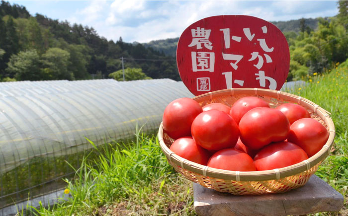 石川農園 みんなで飲もっか！トマトジュースセットＥ / 完熟トマト とまと 健康 美肌 ビタミン / 恵那市 / クリエイティブファーマーズ [AUAH003]