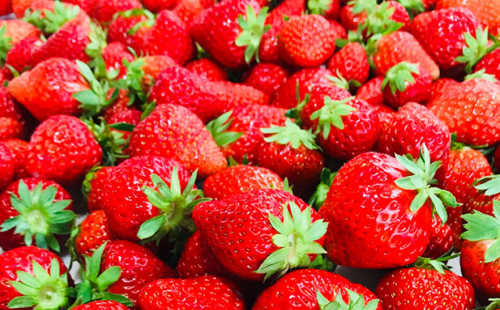 【先行予約】【2026年1月中旬より順次発送】冷凍いちご 1kg / 苺 いちご イチゴ 冷凍 冷凍イチゴ 冷凍苺 / 恵那市 クリエイティブファーマーズ [AUAH023]