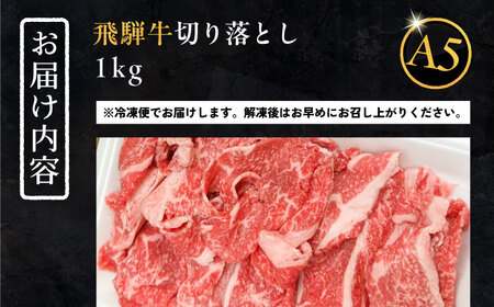 【年内配送】飛騨牛 切り落とし肉 A5ランク 500g×2パック (1kg) 和牛 国産 霜降り 恵那市 / 岩島屋 [AUAJ015]