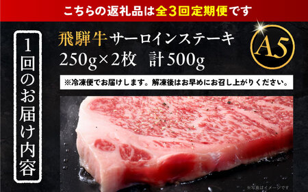 【3回定期便】 飛騨牛 サーロインステーキ (A5ランク) 1パック (250g×2枚) 和牛 国産 霜降り 恵那市 / 岩島屋 [AUAJ027] 3回