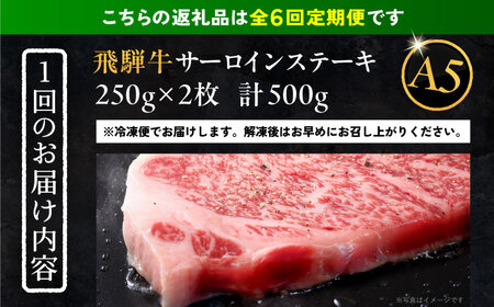 【6回定期便】 飛騨牛 サーロインステーキ (A5ランク) 1パック (250g×2枚) 和牛 国産 霜降り 恵那市 / 岩島屋 [AUAJ028] 6回