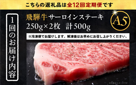 【12回定期便】 飛騨牛 サーロインステーキ (A5ランク) 1パック (250g×2枚) 和牛 国産 霜降り 恵那市 / 岩島屋 [AUAJ029] 12回