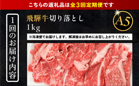 【3回定期便】 飛騨牛 切り落とし肉 A5ランク 500g×2パック (1kg) 和牛 国産 霜降り 恵那市 / 岩島屋 [AUAJ033] 3回