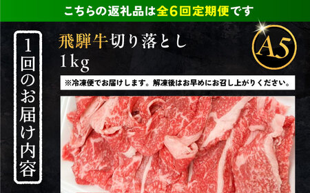 【6回定期便】 飛騨牛 切り落とし肉 A5ランク 500g×2パック (1kg) 和牛 国産 霜降り 恵那市 / 岩島屋 [AUAJ034] 6回