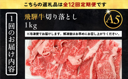 【12回定期便】 飛騨牛 切り落とし肉 A5ランク 500g×2パック (1kg) 和牛 国産 霜降り 恵那市 / 岩島屋 [AUAJ035] 12回
