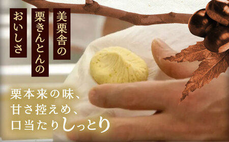 栗きんとん・柿ぼっくり　各６個セット / 栗きんとん くりきんとん 柿 栗 岐阜 セット 手土産 和菓子 スイーツ お菓子 / 恵那市 / 銀の森 [AUBG017]