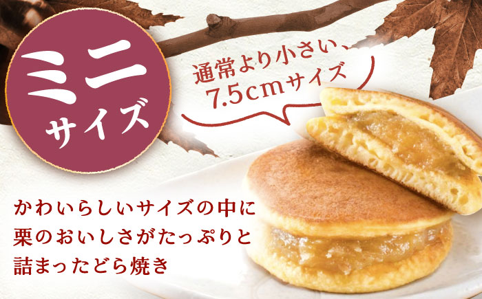 栗きんとんどら焼き 10個入り / 栗 くり どら焼き どらやき 和菓子 ギフト / 恵那市 / 銀の森 [AUBG053]