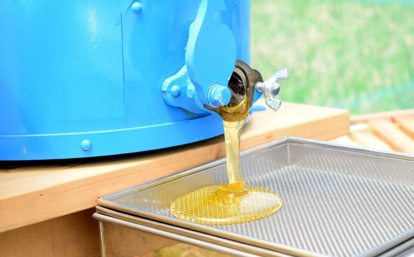 恵那農高生と開発!季節の里山蜂蜜セット(蜂蜜120g×3本)/ はちみつ ハチミツ ハニー 養蜂 / 恵那市 / 特定非営利活動法人 さとはち [AUBP001]