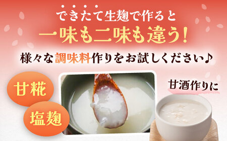 昔ながらのロジブタ作り 生米こうじ 米3合分×3袋 / 米糀 麹 手作り / 恵那市 / マルコ醸造 [AUCT016]