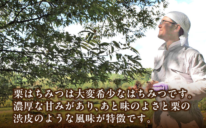 恵那蜂蜜 3本 ギフト箱入りセット (栗蜂蜜300g×3本) 国産 はちみつ 岐阜 恵那市 / はち工房こうけつ [AUDF009]