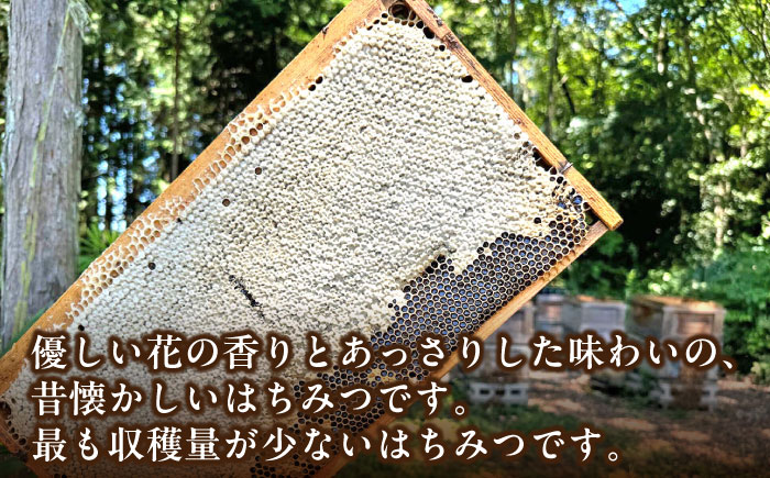 恵那蜂蜜 3本 ギフト箱入りセット (蓮華蜂蜜300g×3本) 国産 はちみつ 岐阜 恵那市 / はち工房こうけつ [AUDF014]