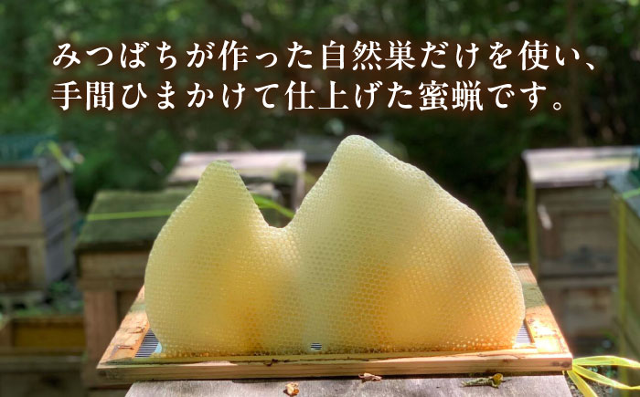 恵那 蜜蝋セット (Aランク蜜蝋300g:100g3枚) 国産 蜜蝋 ハンドメイド 恵那市 / はち工房こうけつ [AUDF024]