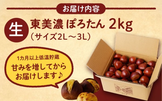 ＼間もなく受付終了！／岐阜県産栗「東美濃ぽろたん」 2kg / 栗 くり 栗きんとん / 東美濃農業協同組合 [AUDS001]