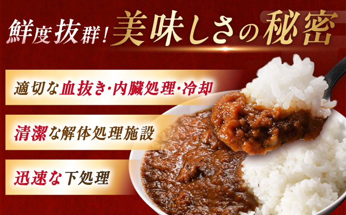 鹿肉カレー 250ｇ×6袋 / 鹿肉 鹿 ジビエ カレー レトルト / 恵那市 / 弘法屋 [AUEA002]