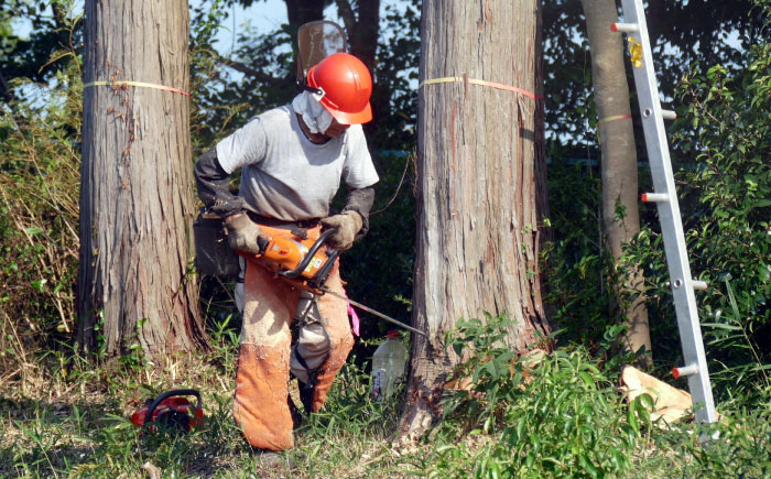 【年内配送】低温バイオ乾燥「郷山薪」24kg / 薪 焚き火 ストーブ アウトドア / 恵那市 / 柘植建設 [AUFB001]