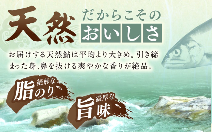 ＜冷凍＞天然あゆ 19～22cm 10匹入り / あゆ 天然 鮎 冷凍 / 恵那市 / 恵那物産館 [AUFS008]