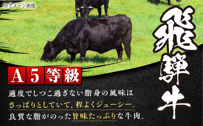 【チルド（冷蔵）発送！】 「飛騨牛」 A5等級 ロース 1kg / 牛肉 焼肉 鉄板焼き 網焼き BBQ / 恵那市 / 東美濃農業協同組合 [AUFX009] 1kg