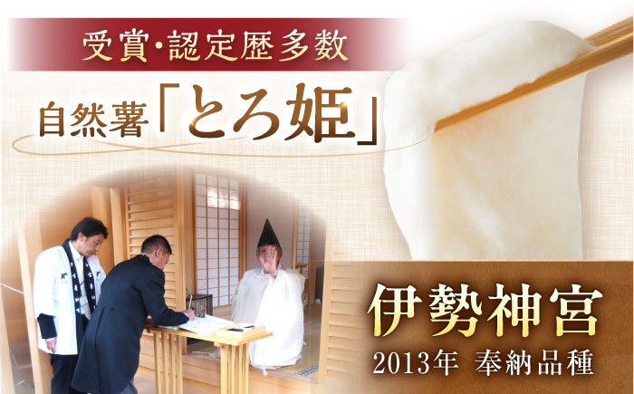 【年内配送】自然薯冷凍とろろ（180g×3）540g / 自然薯 とろろ 小分け / 恵那市 / 水戸屋 [AUFZ003] 3パック