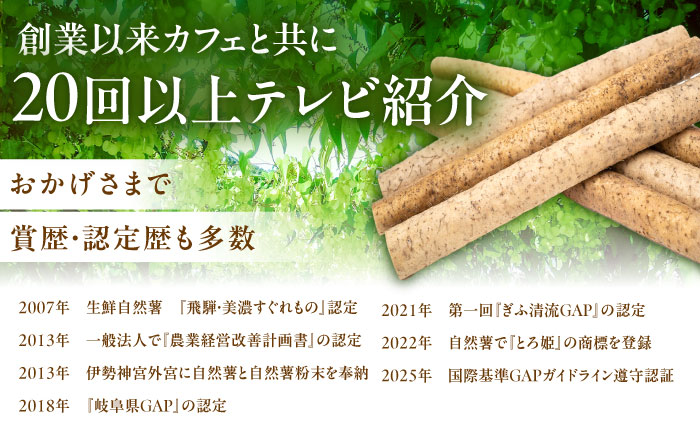 【年内配送】自然薯のみそ漬け 240g（80g×3）/ 自然薯 味噌 みそ みそ漬け 味噌漬け 漬物 漬け物 / 恵那市 / 水戸屋 [AUFZ011]