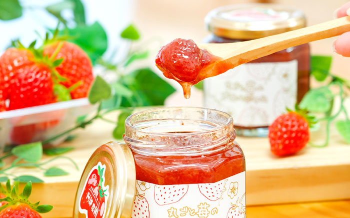 苺ジャム2種セット / いちご 苺 イチゴ あきひめ 国産 / 恵那市 / 阿部農園 [AUGA004]