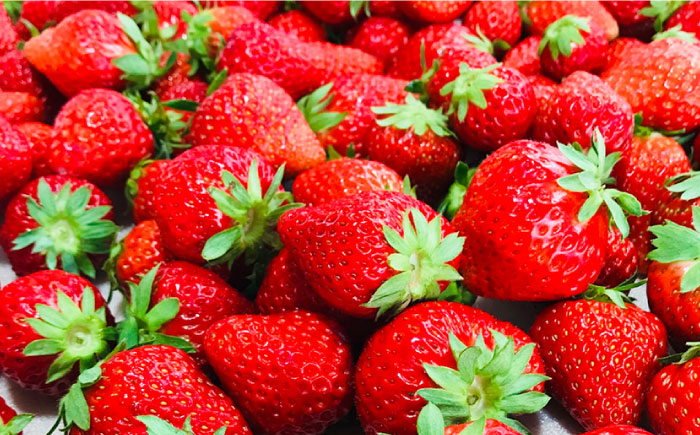 石川農園・愛情ぎゅっと詰め合わせセット / トマトケチャップ トマトソース パスタソース いちごジャム 国産 / 恵那市/クリエイティブファーマーズ [AUAH001]