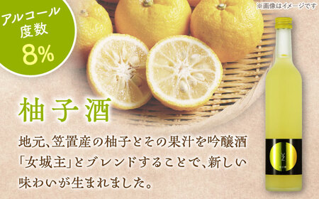 【年内配送】女城主 柚子酒と梅酒（各500ml）セット / 果実酒 ゆず酒 飲み比べ お酒 / 恵那市 / 岩村醸造 [AUAK001]