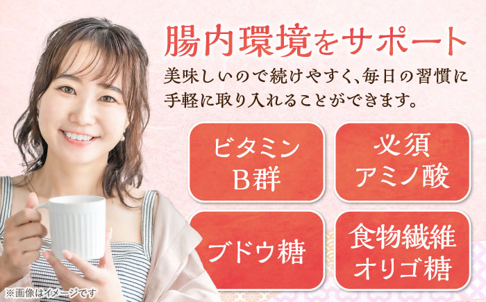 【12回定期便】 女城主 純米あま酒500ml（ノンアルコール）4本セット / 甘酒 あま酒 あまざけ ノンアルコール 米麹 / 恵那市 / 岩村醸造 [AUAK036] 12回