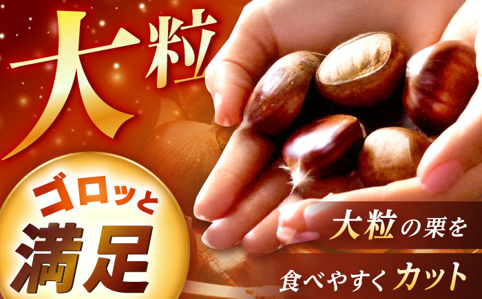 冷凍むき栗「日本栗」 カット1kg（250g×4P）/ 栗 冷凍 生栗 くり むき栗 マロン 低温熟成 日本栗 国産 和栗 岐阜県産 恵那市産 産地直送 送料無料 お取り寄せ ギフト 贈答 / 恵那市 / えな笠置山栗園 [AUAV007]