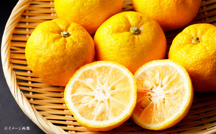 ゆず香 6袋 / ゆず香 柚子 ゆず / 恵那市 / かさぎゆず組合 [AUAW010]