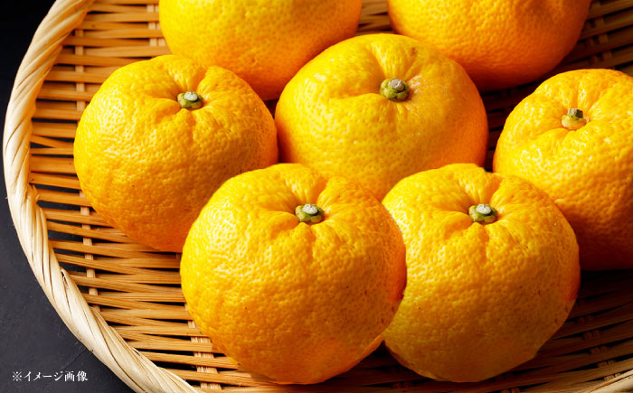 ゆずと水のギフト 10本入り / 柚子飲料 柚子ジュース ジュース 柚子 ゆず / 恵那市 / かさぎゆず組合 [AUAW016]