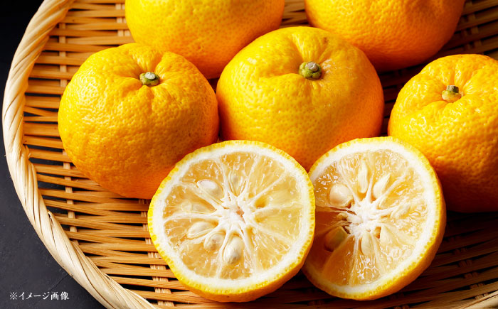 ゆずカステラ 2本 / カステラ かすていら 柚子 柚子カステラ ゆず / 恵那市 / かさぎゆず組合 [AUAW017]