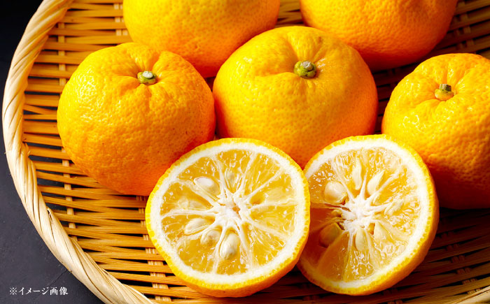 かさぎのゆず 丸ごとゆずしぼり果汁 170ml×5本 / ゆず 柚子 ゆず果汁 果汁 柑橘 ドレッシング 産地直送 / 恵那市 / かさぎゆず組合 [AUAW018]