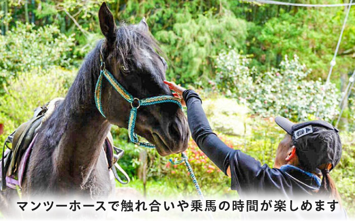 乗馬体験券（ふれあい、30分程度の乗馬）1名分 チケット 馬 岐阜 恵那市 / ベルの家 [AUCN001]